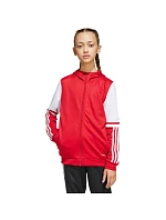 Mikina adidas Squadra 25 Hoodie Jr JD4801 Mikina adidas Squadra 25 Hoodie Jr JD4801