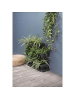 ZAHRADNÍ KVĚTINY STOJÍCÍ ANTHRACITE pro děti ZAHRADNÍ KVĚTINY STOJÍCÍ ANTHRACITE pro děti