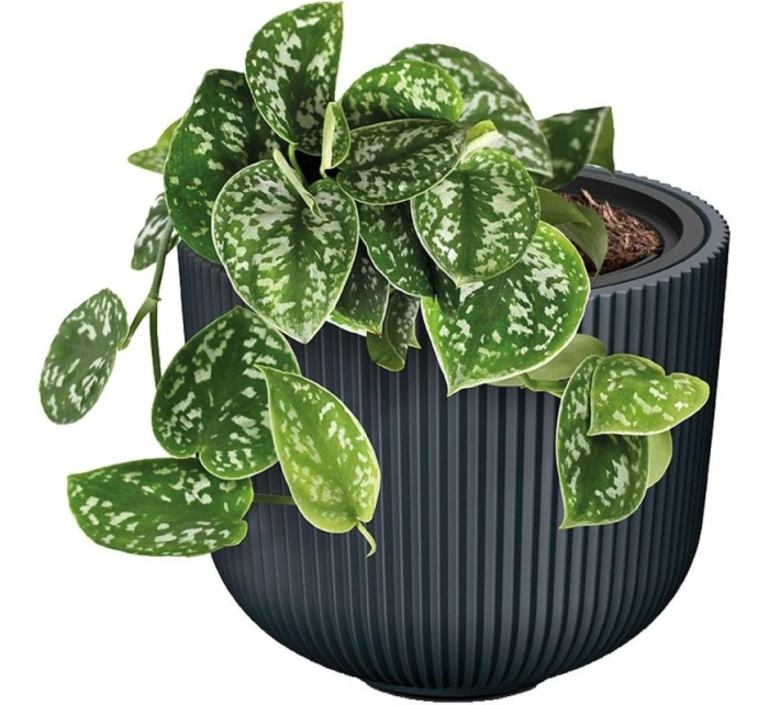 DONICZKA DO   dětské model 21833627