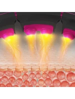 S A + HMS model 21810849