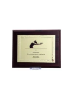 Plastový diplom s vyrytou kovovou destičkou Plastový diplom s vyrytou kovovou destičkou