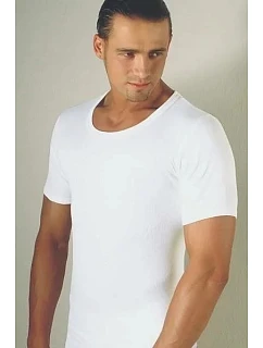 Pánské tričko  model 22095426 - Gemini