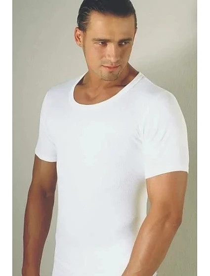 Pánské tričko  model 22095426 - Gemini