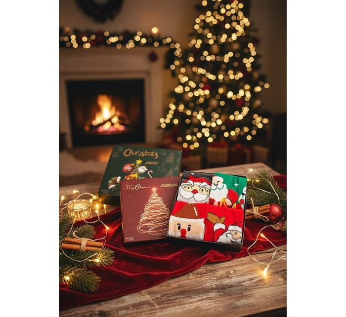 ponožky Merry Christmas Box 3546 model 21777361 - WiK