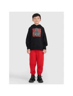 Chlapecké tepláky model 21812103 - 4F