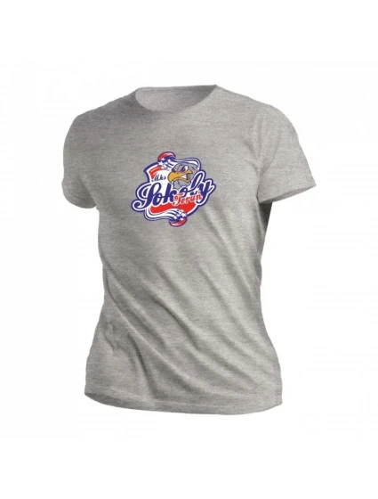 Tričko Falcons M SILVER