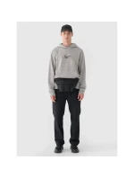 Pánská nepromokavá mikina s kapucí model 21432545 - 4F