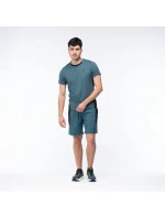 Pánské šortky model 21357271 - IQ