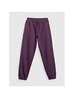 Dámské tepláky joggers 4F 4FRAW25TTROF1846-50S dámské