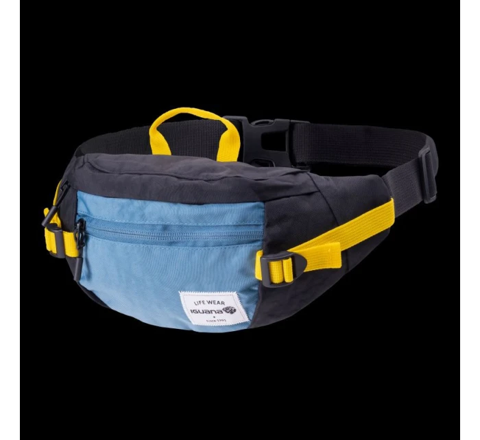 model 21356339 - Iguana