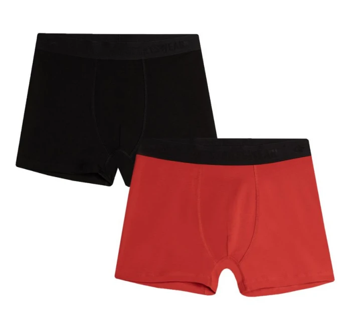 Boxerky  1 M AW23UBXS 91S model 19061650 - 4F