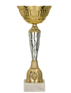 Zlatý a stříbrný kovový pohár