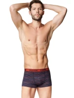 Pánské boxerky model 15864893 2pack - Henderson