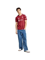 Liverpool FC pánské tričko červené pánské model 22207846 - ADIDAS Liverpool FC pánské tričko červené pánské model 22207846 - ADIDAS