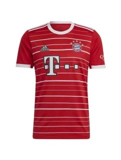 Tričko adidas FC Bayern H Jsy M H39900 pánské
