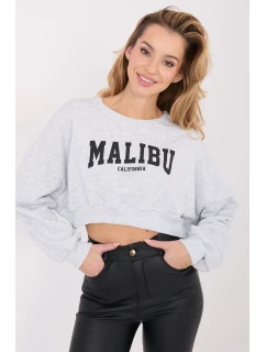 Mikina model 224922 Factory Price