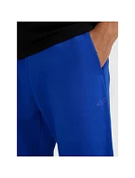 Pánské tepláky model 22099262 - 4F Pánské tepláky model 22099262 - 4F