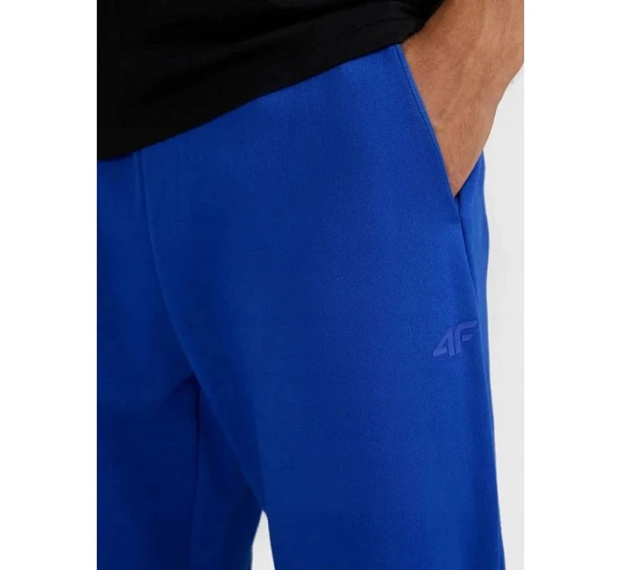 Pánské tepláky model 22099262 - 4F Pánské tepláky model 22099262 - 4F