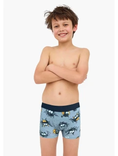 Dětské boxerky Boy  86128 model 21495754 - Cornette