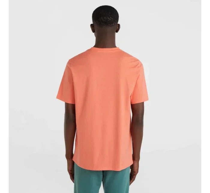 Tričko O'Neill Cali Original M 92800613165