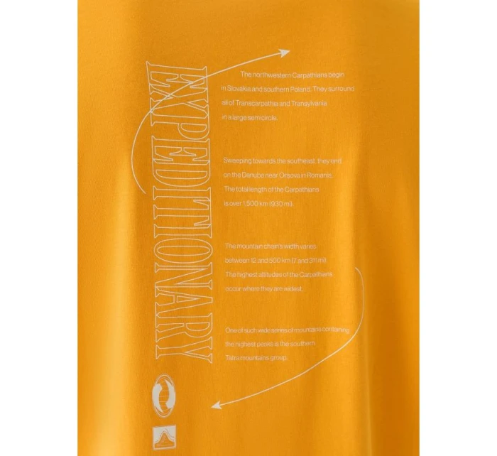 Pánské tričko oversize s potiskem 4F 4FRAW24TTSHM2578-70S