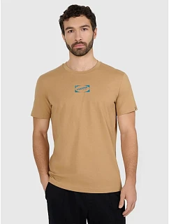 Pánské tričko s potiskem 4F 4FRAW25TTSHM3377-83S pánské