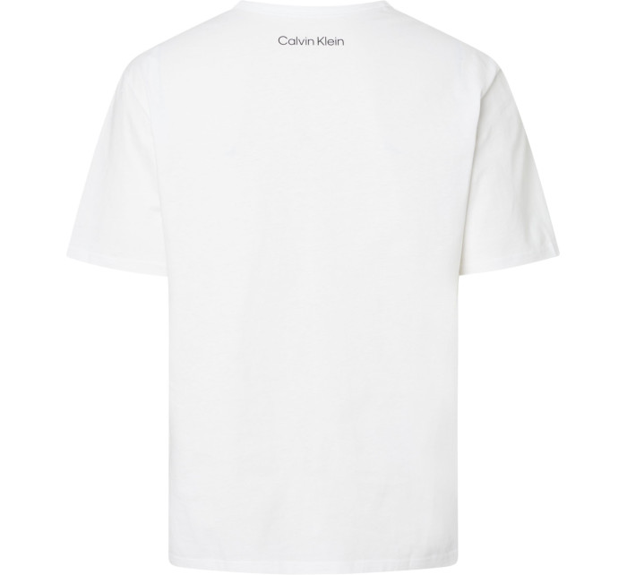 Spodní prádlo Pánská trička S/S CREW NECK 000NM2399E100 - Calvin Klein