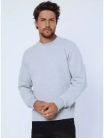 Pánská šedá mikina model 21963579 - Dstreet