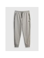 Pánské tepláky typu jogger model 22117482 - 4F