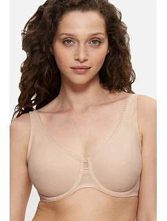 Soft model 229985 Triumph
