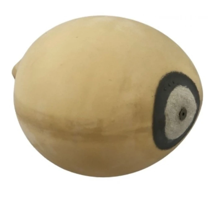 SP - na míč s model 21347064 SP - na míč s model 21347064