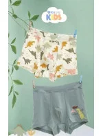 Chlapecké boxerky A'2 zelené model 21069639 - DC Polo Chlapecké boxerky A'2 zelené model 21069639 - DC Polo