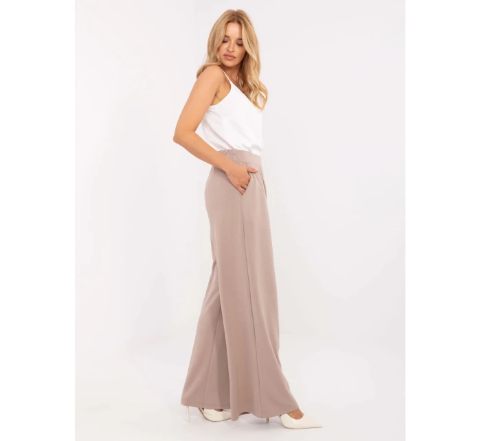 Spodnie RV DR model 21302453 ciemny bezowy - FPrice