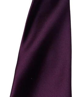 PR 750 Saténová kravata "Colours" 39.0750 model 22562147 - Premier