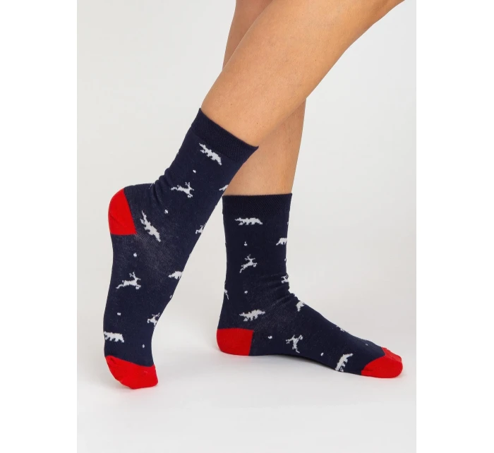 Ponožky WS SR 5637 vícebarevné