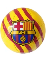 FC Barcelona Catalunya fotbal 373111 FC Barcelona Catalunya fotbal 373111
