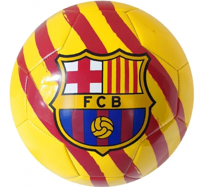 FC Barcelona Catalunya fotbal 373111 FC Barcelona Catalunya fotbal 373111