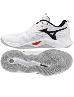 Boty Mizuno WAVE MOMENTUM PRO V1GA254059