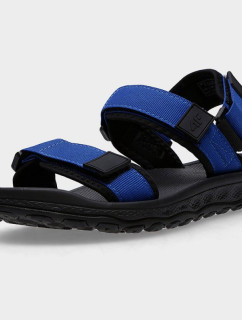 Dětské sandály Jr 4FJSS23FSANM022 33S Modrá s černou - 4F