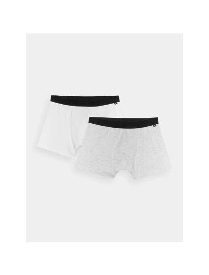 Pánské boxerky (2-pack) 4F 4FWMM00UBXSM059-90S pánské