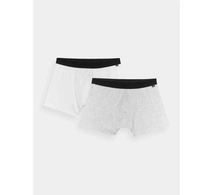 Pánské boxerky (2-pack) 4F 4FWMM00UBXSM059-90S pánské