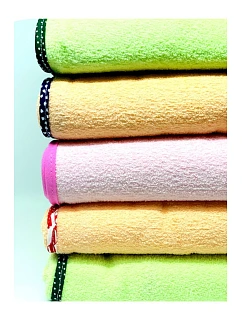 model 22097510 - EGA