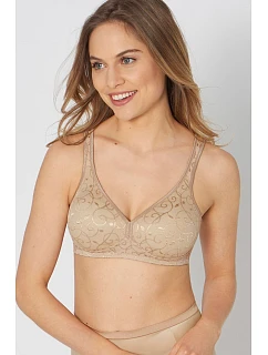 Soft model 230075 Triumph