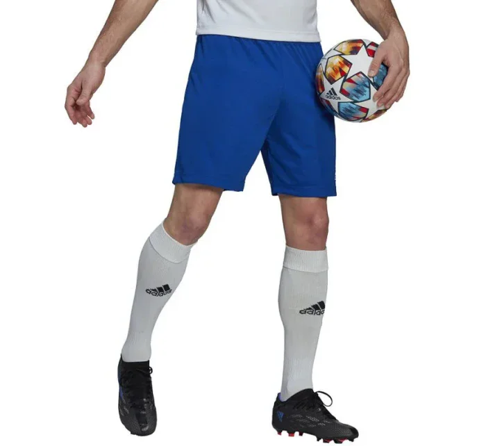 Entrada 22 M pruhované šortky HG6294 - Adidas