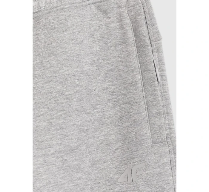 Pánské tepláky typu jogger model 21877671 - 4F Pánské tepláky typu jogger model 21877671 - 4F