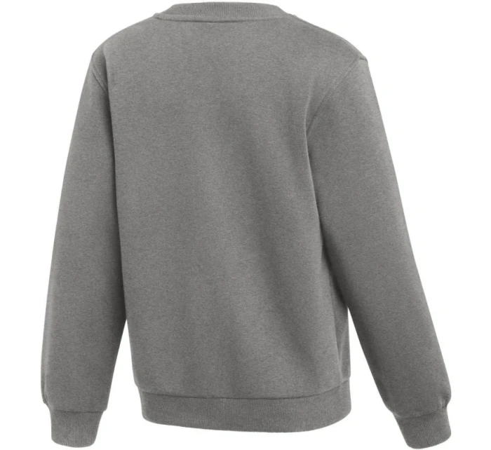 Nike Park 26 Fleece Crew Grey IB1188 063