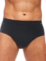 Pánské slipy AUTHENTIC 221