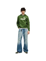 Pánská mikina Puma ESS No.1 Logo Hoodie FL zelená 682571 68 pánská Pánská mikina Puma ESS No.1 Logo Hoodie FL zelená 682571 68 pánská