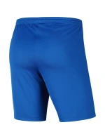 Pánská obuv Dry Park III NB M BV6855 463 - Nike