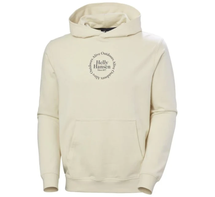 Helly Hansen Core Graphic Sweat Hoodie M 53924 034